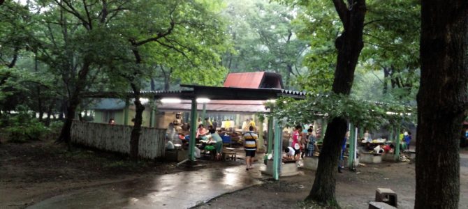 40回生猿島キャンプ～ボランティア体験記 　－鈴木ゆかり－